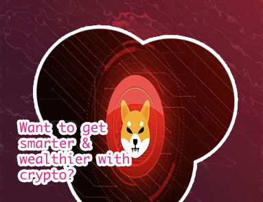 Where to get shiba crypto